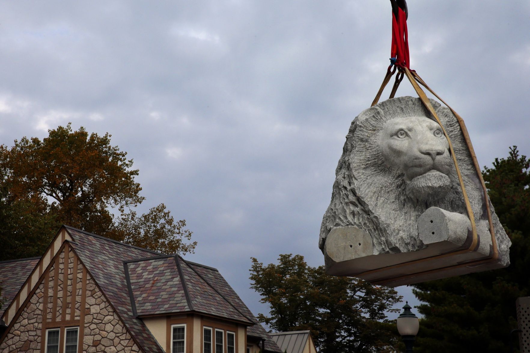 King of the jungle lands in a new garden